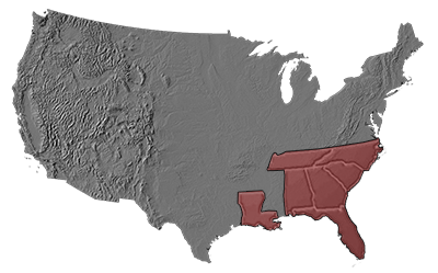 Southeast Sales Region